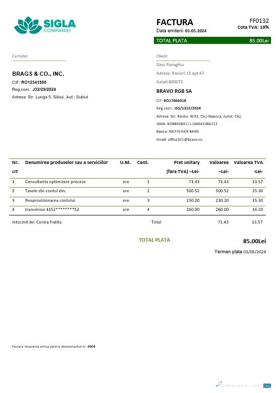 Download Romania SIGLA COMPANIEI business utility bill template in Word and PDF formats Photoshop template